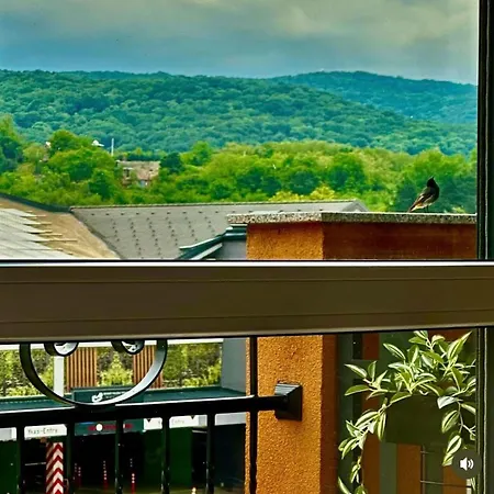 Fruske 202 Апартаменты Врдник