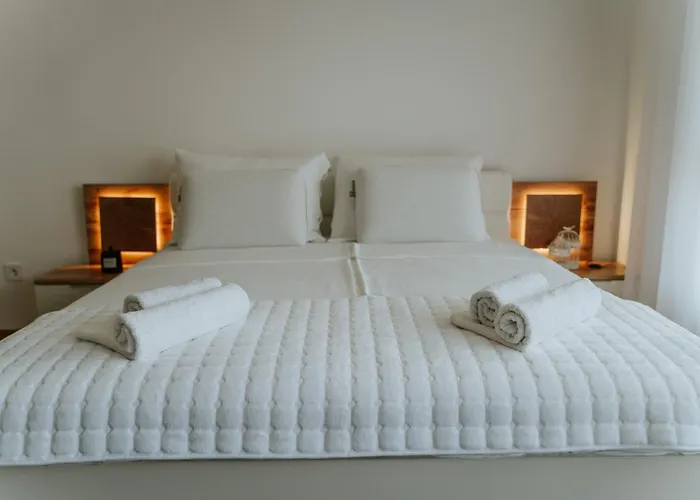 Fruske 202 维尔蒂尼克