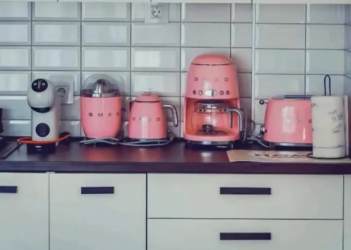 公寓 Fruske 202 维尔蒂尼克