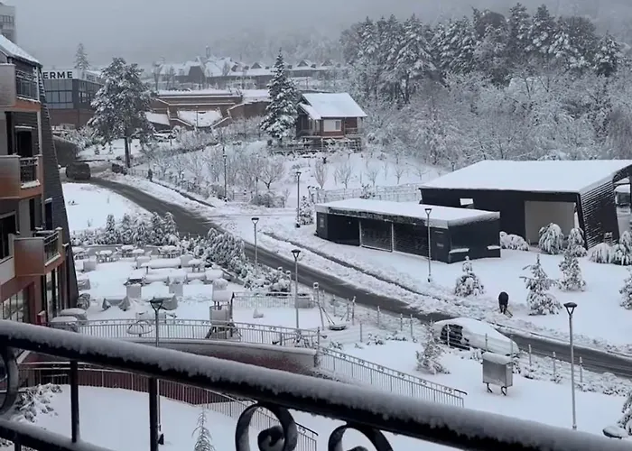 Fruske 202 维尔蒂尼克