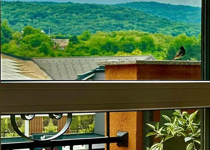 Fruske 202 公寓 维尔蒂尼克